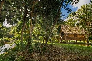 Our Jungle Camp Eco Resort - foto 1