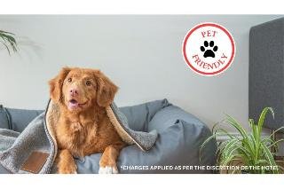 Love Hotels Staples by OYO at HWY 10 MN - photo 4