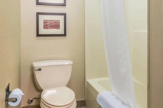 Comfort Inn Columbia - photo 4