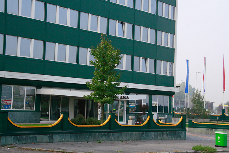 Alga - foto 1