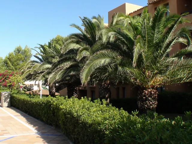 Insotel Club Tarida Playa - photo 3