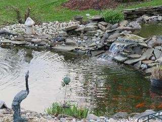 Berry Patch Bed and Breakfast - photo 1