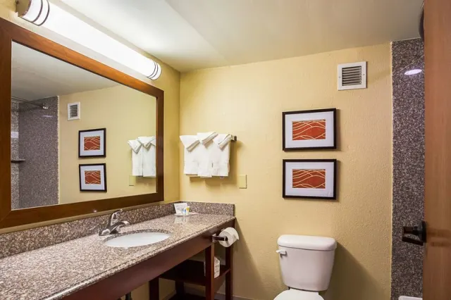 Comfort Inn University Area - photo 4