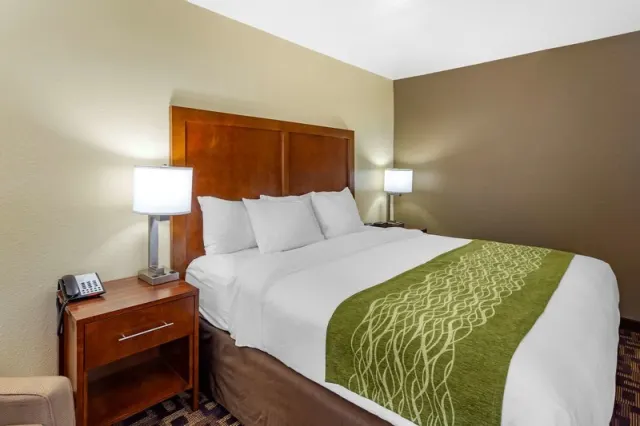Holiday Inn Aurora North  Naperville - photo 3