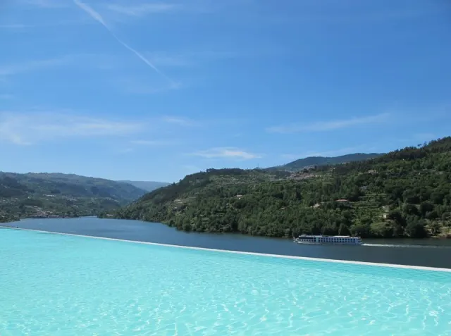 Douro Royal Valley Hotel & Spa - φωτογραφία 3