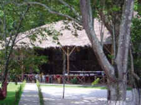 Tiwa Amazonas Eco Resort - photo 2