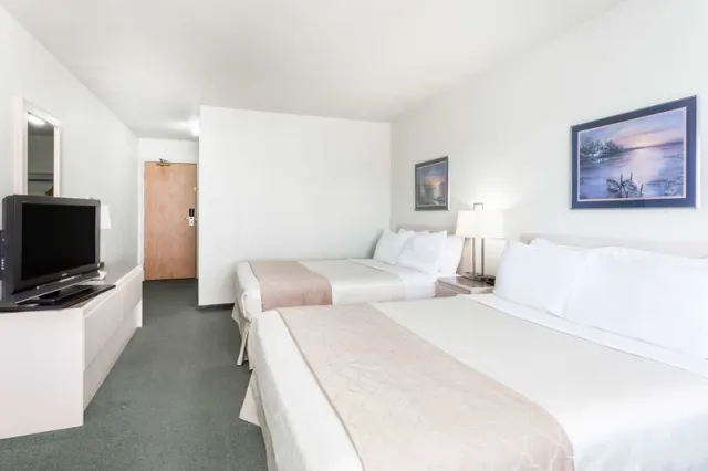 Super 8 by Wyndham Dauphin - photo 2