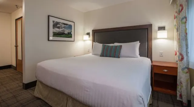 Best Western Plus University Park Inn & Suites - foto 4