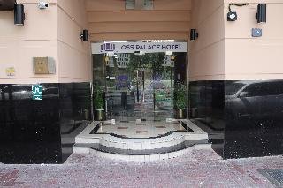 GSS Palace Hotel - photo 3