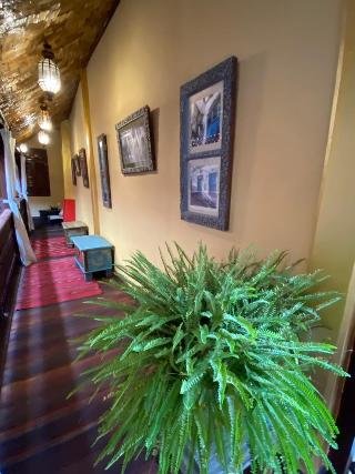 Jafferji House and Spa - photo 3