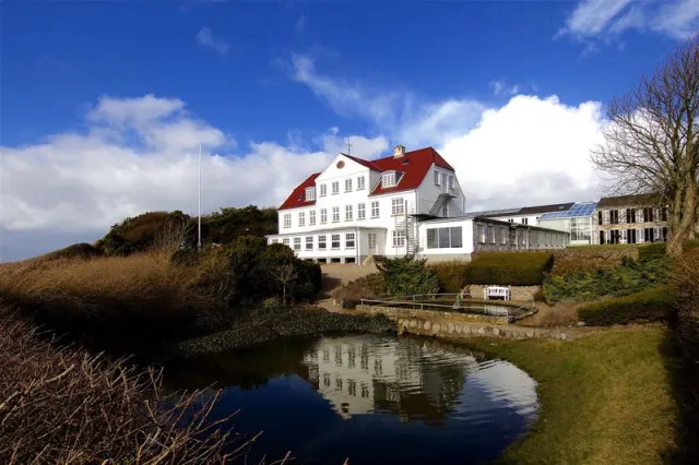 Strandhotel - photo 3