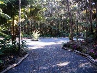 Volcano Mist Cottage - photo 4