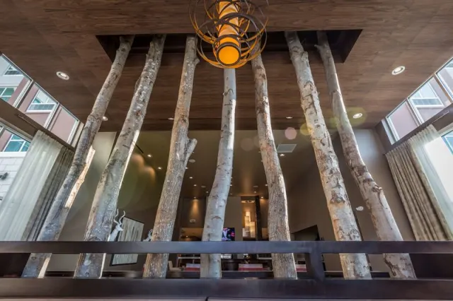 AC Hotel Charlotte Ballantyne - photo 3