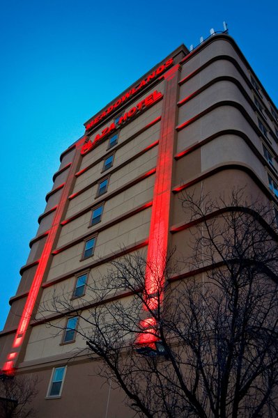 Meadowlands Hotel - photo 3