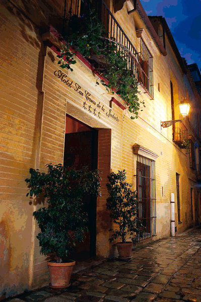 Las Casas De La Judería Sevilla - photo 3