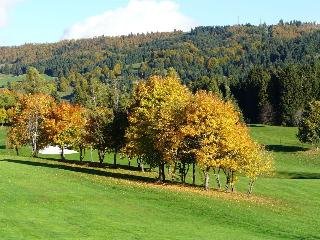 Golf Hotel Villa Bonomo - photo 3