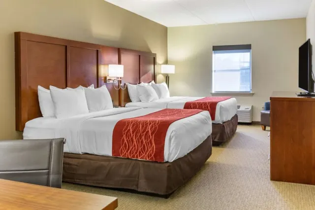 Comfort Inn Lancaster - Rockvale Outlets - photo 2