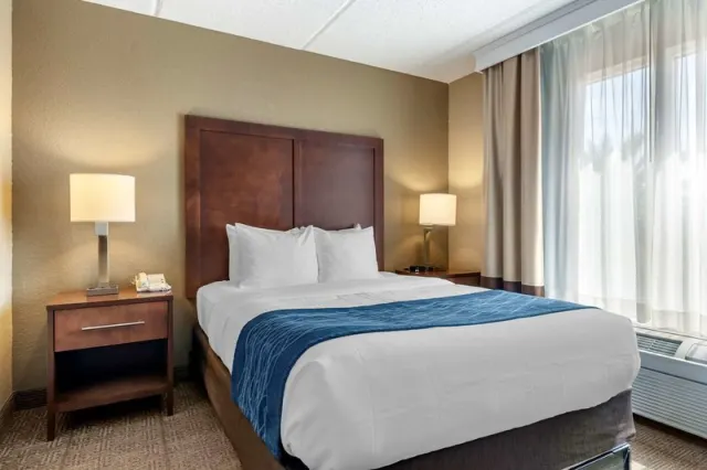 Comfort Inn & Suites Orlando North - photo 4