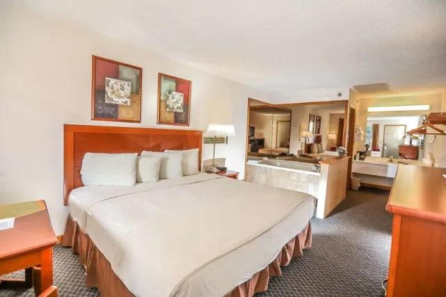 Super 8 by Wyndham Branson / Shepherd of the Hills Exwy, Branson
