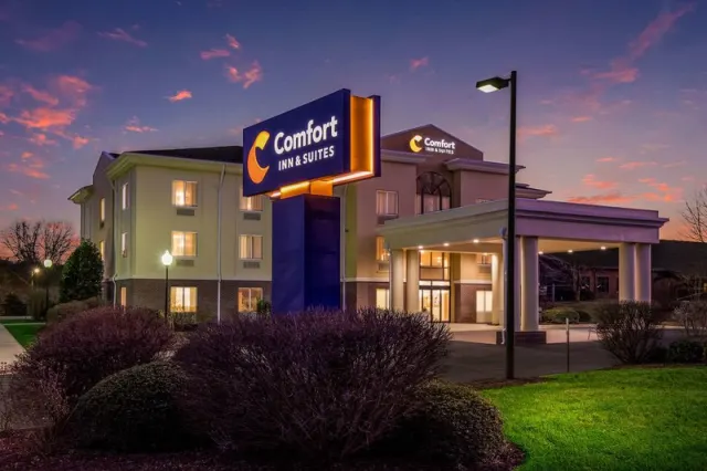 Comfort Inn & Suites - photo 4