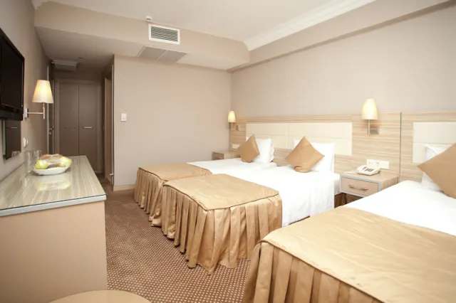 Grand Emin Hotel - photo 3