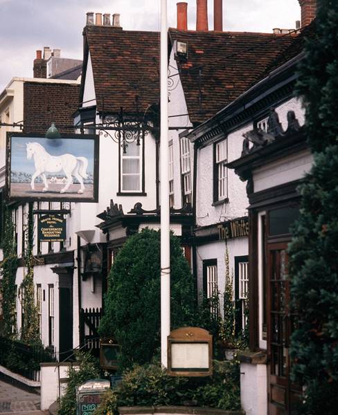 The White Horse - photo 1