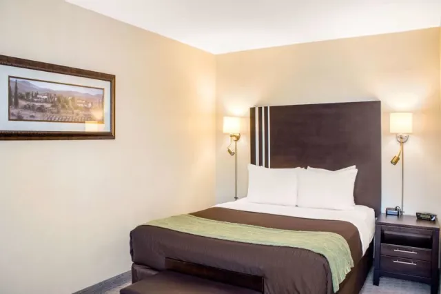 Comfort Inn Halifax - foto 3