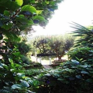 Las Islas Boutique - foto 3