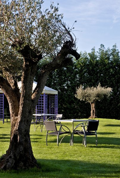 Hotel Langhe - photo 1