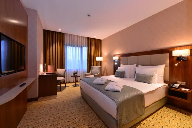 Clarion Hotel Istanbul Mahmutbey - photo 4