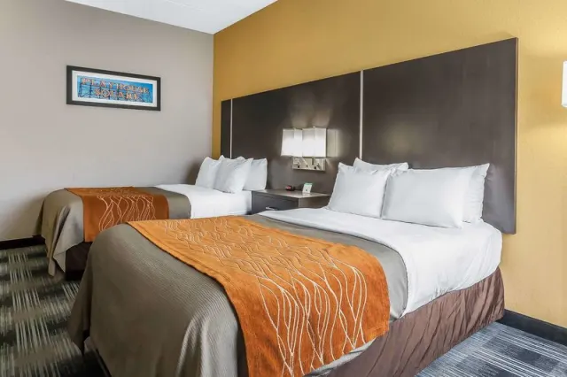 Comfort Inn Cleveland Airport - photo 3