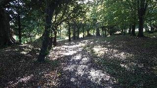Dartington Hall - foto 3