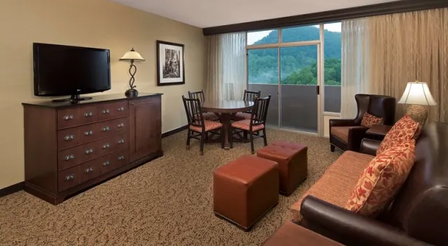 The Park Vista  a DoubleTree by Hilton Hotel  Gatlinburg - foto 4