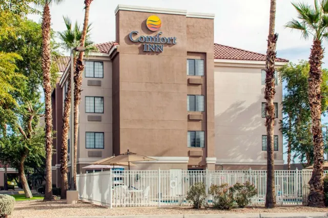 Residence Inn Phoenix Chandler/South - photo 3