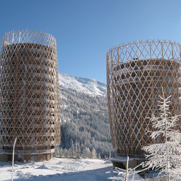 Edelweiss - photo 1