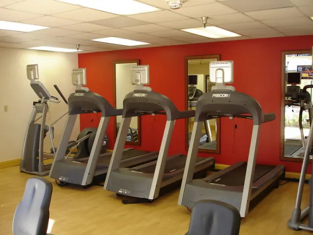 Holiday Inn Tampa Westshore  Airport Area - photo 3
