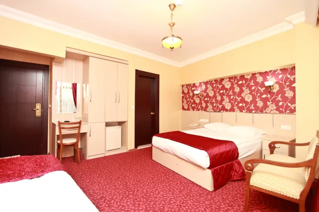 Golden Horn Bosphorus Hotel - photo 3