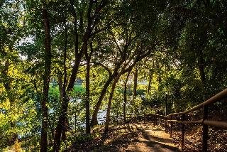 Gruene River Hotel & Retreat - photo 4
