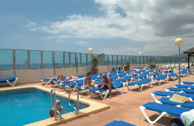 Flamingo Oasis - photo 4