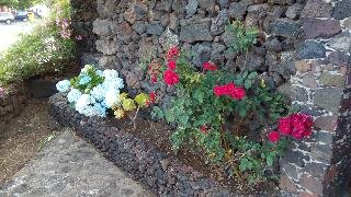 Casa Rural Aborigen Bimbache - photo 2