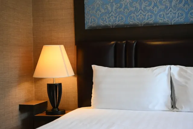 Airport Guest House - photo 4