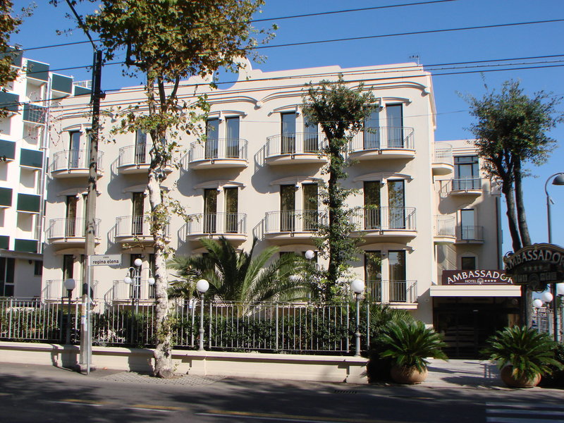 Ambassador - foto 1