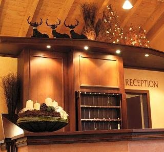 Landhotel Hirsch - photo 4