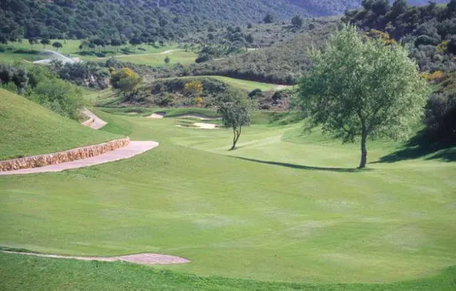 Hotel Alhaurín Golf Resort - photo 2