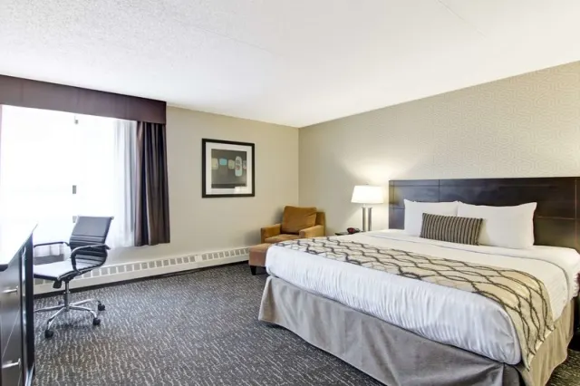 Radisson Hotel & Conference Centre West Edmonton - foto 3