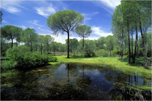 El Cortijo De Los Mimbrales - photo 2