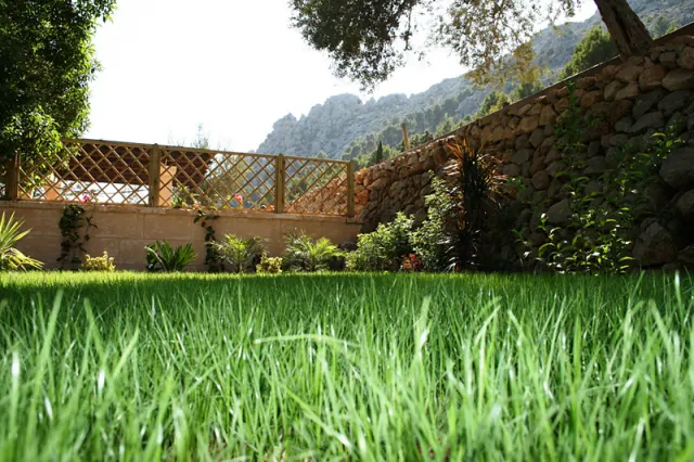 Ratxó Retreat Hotel Meliá Collection - foto 3