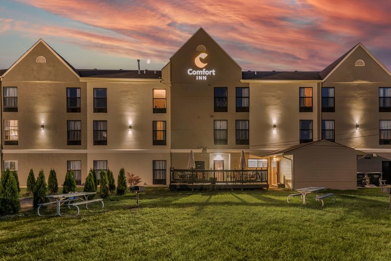Comfort Inn - 사진 1