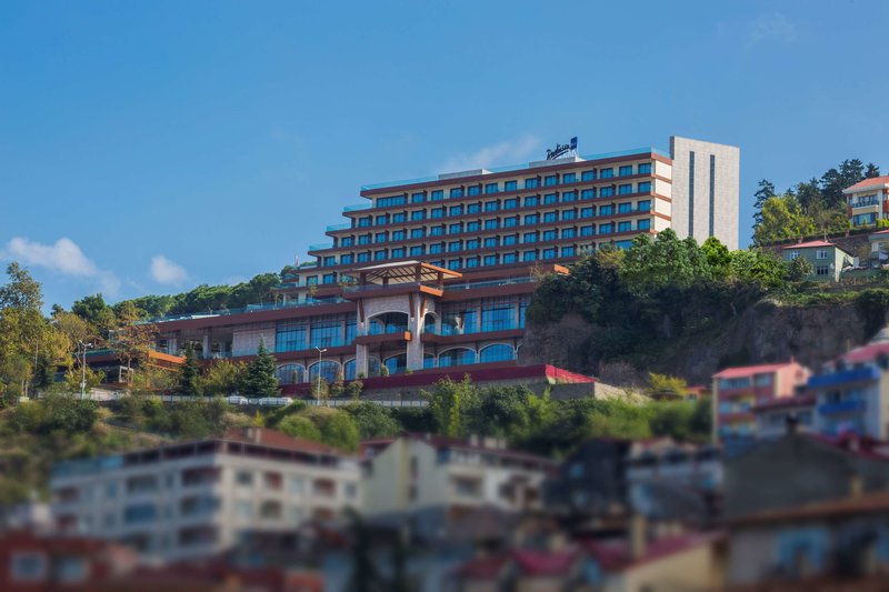 Radisson Blu Hotel Trabzon - photo 1