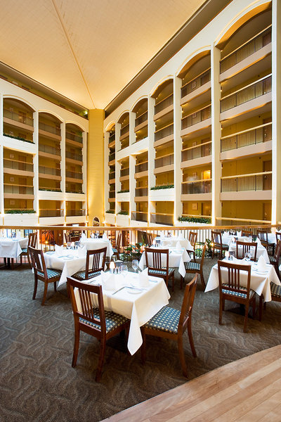 Sydney Harbour Hotel - photo 3